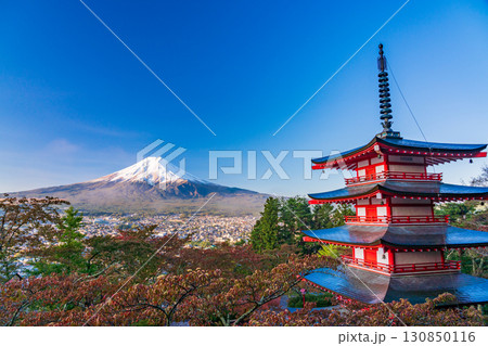 《山梨県》新倉山浅間公園の桜紅葉、忠霊塔と新雪富士 130850116