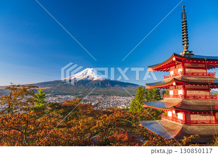 《山梨県》新倉山浅間公園の桜紅葉、忠霊塔と新雪富士 《山梨県》新倉山浅間公園の桜紅葉、忠霊塔と新雪富士 130850117