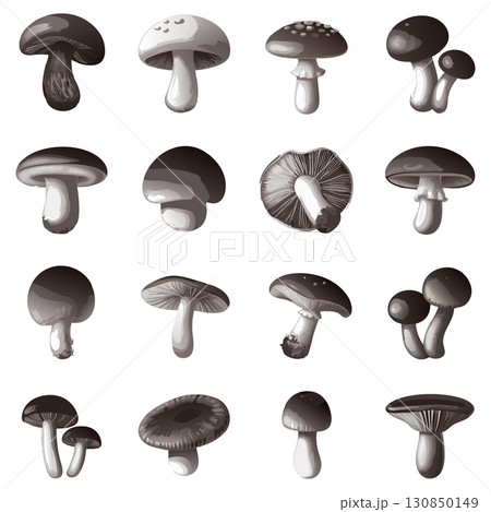 Assortment of Realistic Mushroom Illustrations in Grayscale 130850149
