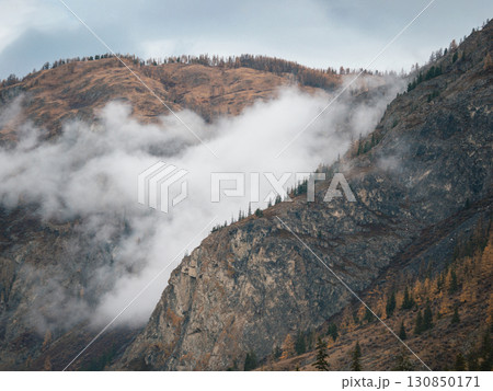 Mountains Partially Covered in Clouds. Amazing foggy mountain landscape with autumnal forest. Fog over evergreen coniferous and orange deciduous forest in autumn mountain landscape on Altai, Russia 130850171