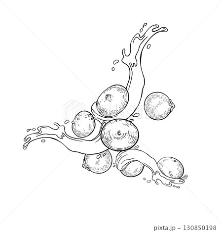 Hand drawn black white fresh acai berries in dynamic juice splash isolated. Superfood levitation in water splash outline drawing for packaging, health drink labels, berries branding. Hand drawn black white fresh acai berries in dynamic juice splash isolated. Superfood levitation in water splash outline drawing for packaging, health drink labels, berries branding. 130850198