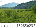 奥日光　小田代ヶ原 130850237