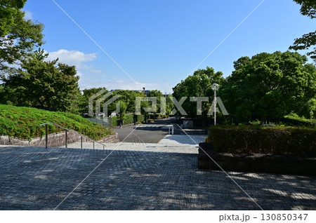 三重県立美術館の正面側(三重県津市) 三重県立美術館の正面側(三重県津市) 130850347