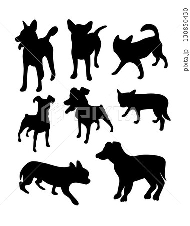 Vector isolated illustration of a set of silhouettes of different dog breeds. 130850430