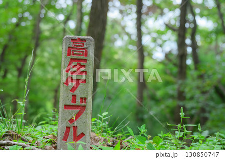 山中の高圧ケーブル標識 山中の高圧ケーブル標識 130850747