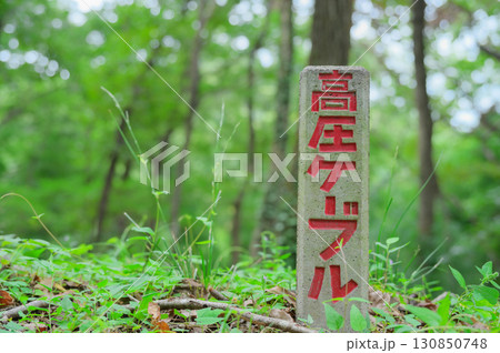 山中の高圧ケーブル標識 山中の高圧ケーブル標識 130850748