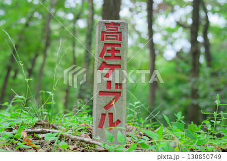 山中の高圧ケーブル標識 山中の高圧ケーブル標識 130850749