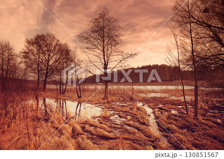 Flooded brook in early spring in trendy mocha mouse color 130851567