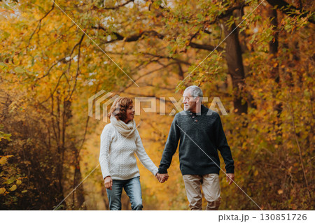 Elderly couple walking hand in hand through autumn forest Elderly couple walking hand in hand through autumn forest 130851726