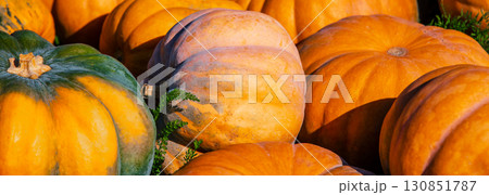 Full frame background of Pumpkins. Many Pumpkins on the hay. Autumn background. Halloween, Thanksgiving, Autumn, Harvest background. Horizontal banner 130851787
