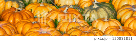 Full frame background of Pumpkins. Many Pumpkins on the hay. Autumn background. Halloween, Thanksgiving, Autumn, Harvest background. Horizontal banner Full frame background of Pumpkins. Many Pumpkins on the hay. Autumn background. Halloween, Thanksgiving, Autumn, Harvest background. Horizontal banner 130851811