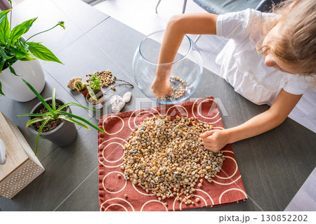 Little girl pouring stones into glass container to create drainage for future florarium or closed ecosystem. Hands-on learning, eco-friendly creativity and early involvement in nature-based projects. Little girl pouring stones into glass container to create drainage for future florarium or closed ecosystem. Hands-on learning, eco-friendly creativity and early involvement in nature-based projects. 130852202