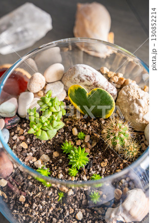 Close up top view of completed florarium with cacti, stones and decorative elements in a glass container. Concept of eco-friendly home decor, natural design and handcrafted botanical arrangement Close up top view of completed florarium with cacti, stones and decorative elements in a glass container. Concept of eco-friendly home decor, natural design and handcrafted botanical arrangement 130852214