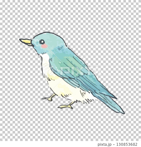 可愛的小鳥插圖（藍色） 130853682