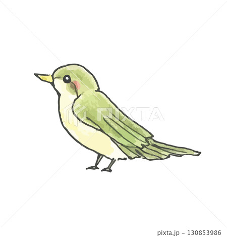 かわいい小鳥のイラスト(緑色) 130853986