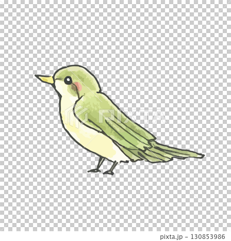 かわいい小鳥のイラスト(緑色) 130853986