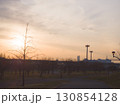 夕暮れの公園と木のシルエット 130854128
