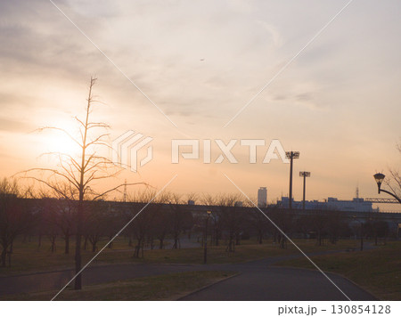 夕暮れの公園と木のシルエット 夕暮れの公園と木のシルエット 130854128