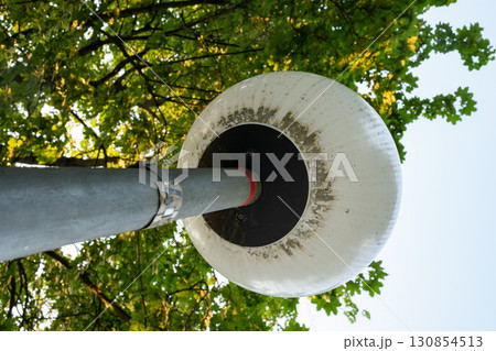Lamppost in the park 130854513