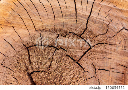 Wood texture close-up 130854531