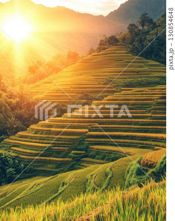 Golden Rice Terraces Sunset Landscape Scenic View Nature Photography Asia Rays Paddy Green Rural 130854648