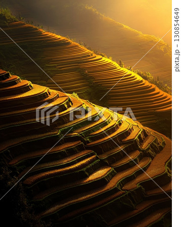 Golden Rice Terraces Sunrise Landscape Scenic View Nature Asia Dawn Calm Paddy Green Rural China 130854649