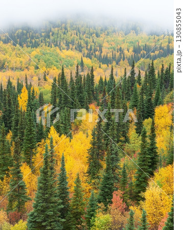 abstract blue background with clouds abstract blue background with clouds 130855043