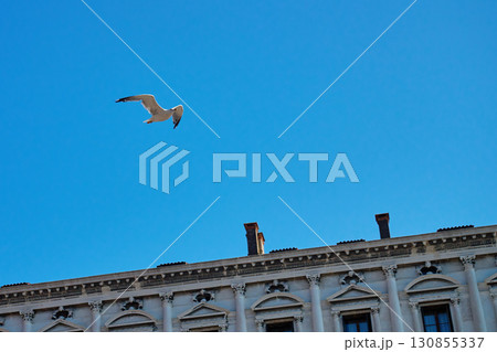 Seagull flying over historic building against blue sky 130855337