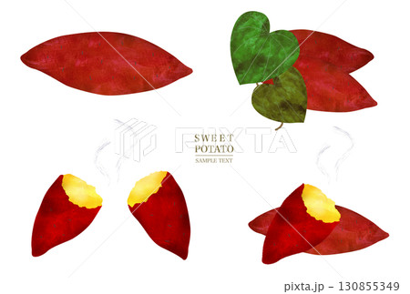 サツマイモの水彩風イラスト素材セット サツマイモの水彩風イラスト素材セット 130855349