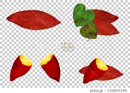 サツマイモの水彩風イラスト素材セット サツマイモの水彩風イラスト素材セット 130855349