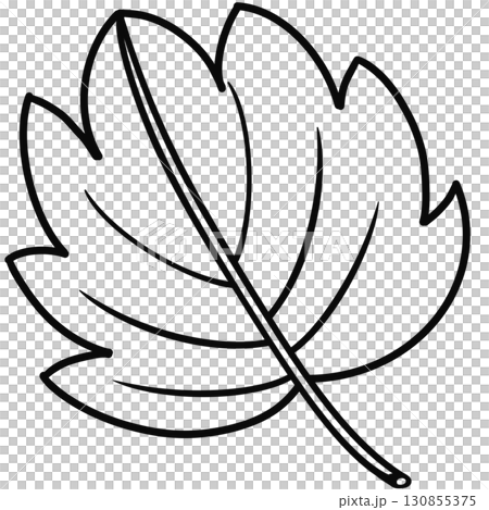 Minimalist Outline Drawing of a Autumn, Elegant Design, Cute hand drawn. 130855375