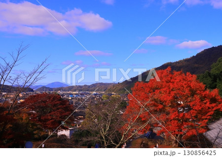 出石城跡 (兵庫県豊岡市出石町)二の丸から見る出石町の景色 出石城跡 (兵庫県豊岡市出石町)二の丸から見る出石町の景色 130856425