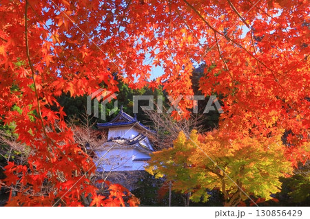 出石城跡 隅櫓　東（兵庫県豊岡市出石町）境内の紅葉 130856429