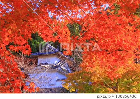 出石城跡 隅櫓 東(兵庫県豊岡市出石町)境内の紅葉 出石城跡 隅櫓 東(兵庫県豊岡市出石町)境内の紅葉 130856430