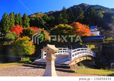 出石城跡 （兵庫県豊岡市出石町）の紅葉 130856434