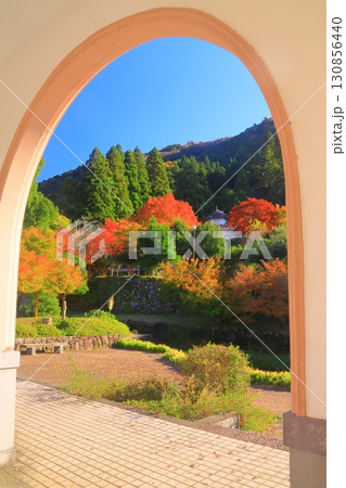 出石城跡 (兵庫県豊岡市出石町)の紅葉 出石城跡 (兵庫県豊岡市出石町)の紅葉 130856440