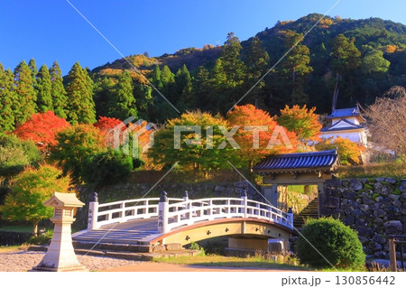 出石城跡 (兵庫県豊岡市出石町)の紅葉 出石城跡 (兵庫県豊岡市出石町)の紅葉 130856442