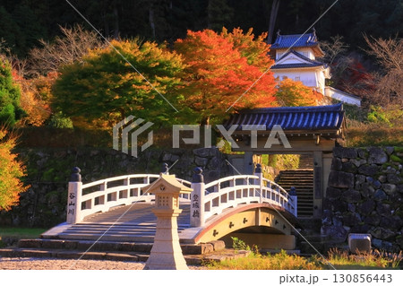 出石城跡 （兵庫県豊岡市出石町）の紅葉 130856443