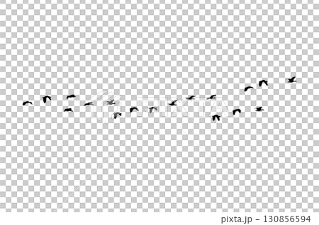 Bird sillhouette Flock black birds. Flocks of flying pigeons isolated on background. Save with clipping path. flying birds formation of pigeons many isolated for backgound PNG 130856594