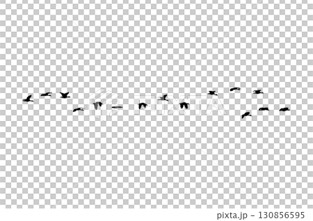 Bird sillhouette Flock black birds. Flocks of flying pigeons isolated on background. Save with clipping path. flying birds formation of pigeons many isolated for backgound PNG 130856595