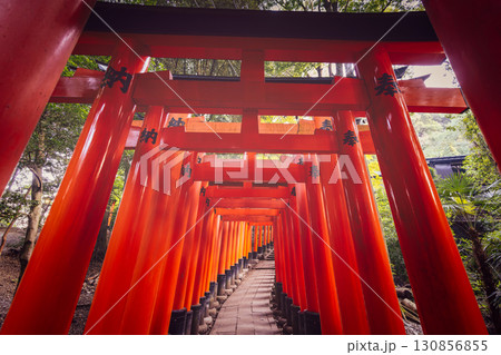 Iconic torii tunnel at Fushimi Inari Kyoto forming luminous corridor with shadows on stone path 130856855