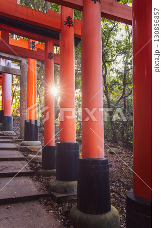 Sunlight starburst between vermilion torii gates at Fushimi Inari Kyoto with stone steps and forest 130856857
