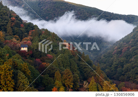 White mist drifts across Arashiyama valley Kyoto with autumn forest hillside and lone wooden hut White mist drifts across Arashiyama valley Kyoto with autumn forest hillside and lone wooden hut 130856906