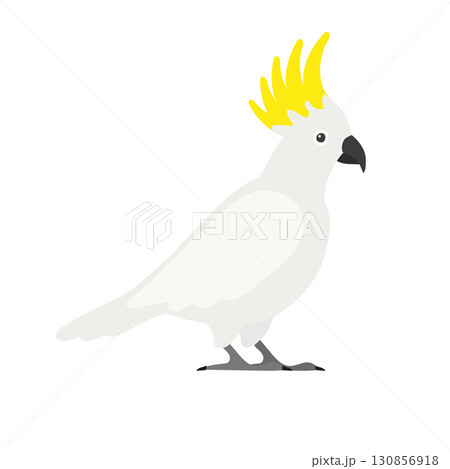 Vector flat hand drawn cockatoo parrot 130856918