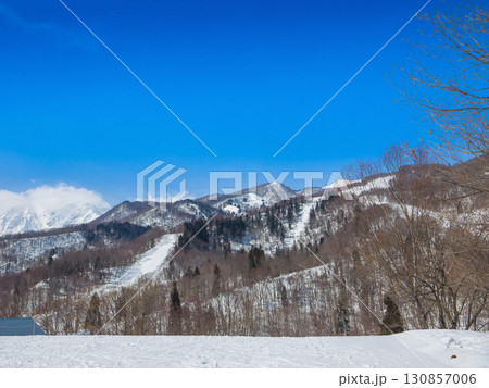 ゲレンデから見上げる雪山と青空 (長野県、白馬、栂池高原) ゲレンデから見上げる雪山と青空 (長野県、白馬、栂池高原) 130857006
