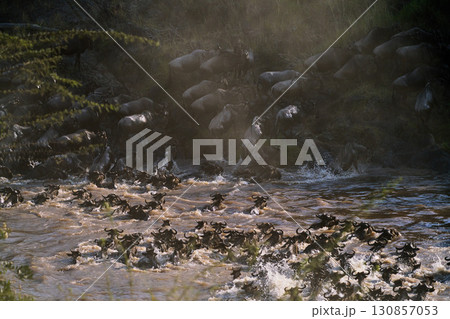 濁流を越えて、命を懸けた行進 130857053