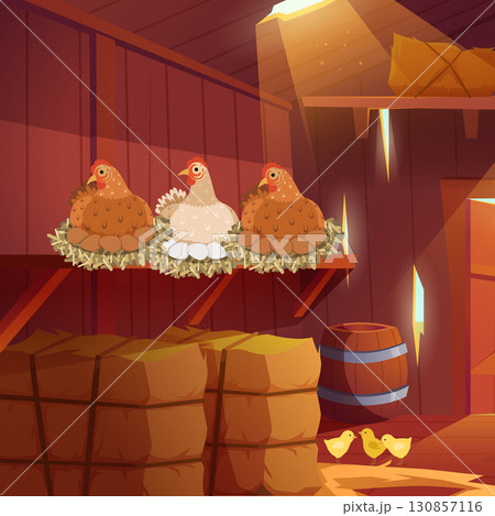 Chicken roost. interior of barn with hay chicken farm. vector cartoon background Chicken roost. interior of barn with hay chicken farm. vector cartoon background 130857116