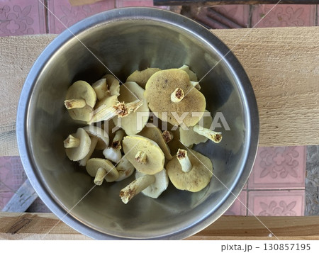 Forest mushrooms boletus in the woods 130857195