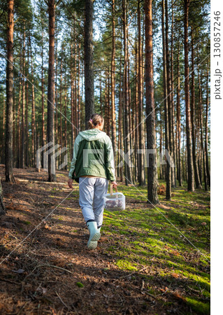 Back view of woman walking through forest between pine trees and foraging for mushrooms in autumn 130857246