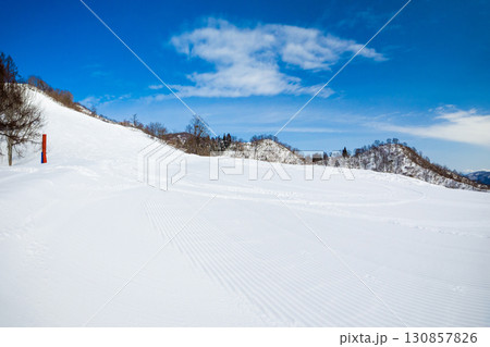 青空の下に広がる圧雪されたゲレンデと滑走跡 (長野県、飯山市、戸狩温泉) 130857826